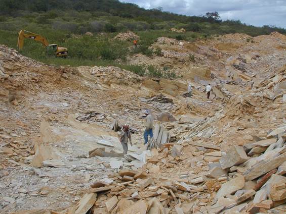 Steinbruch - Lavender Blue
